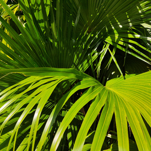 亚洲做爱高潮视频
